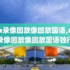 nba录像回放像回放国语,nba录像回放像回放国语独行
