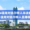 nba猛龙对凯尔特人半决赛录像,猛龙对凯尔特人直播视频