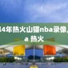 20l4年热火山猫nba录像,nba 热火